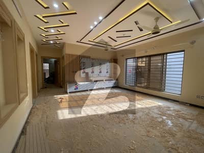 Brand New Designer Lower Portion For Rent