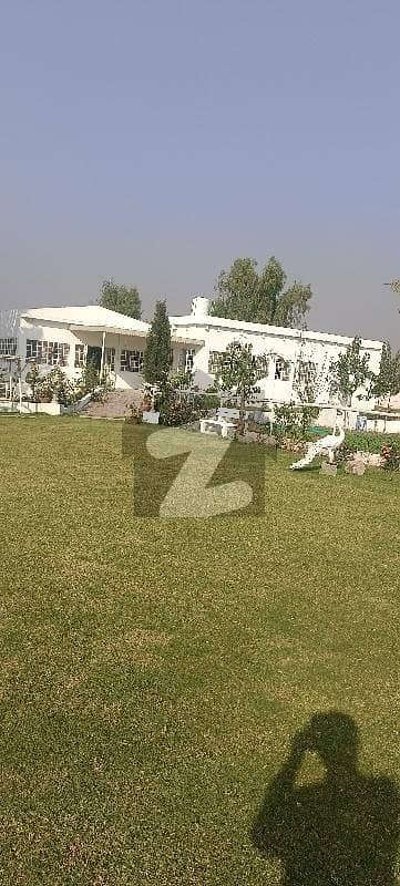 farm house at per day for rent 50000/- farm house at per day for rent 50000/-