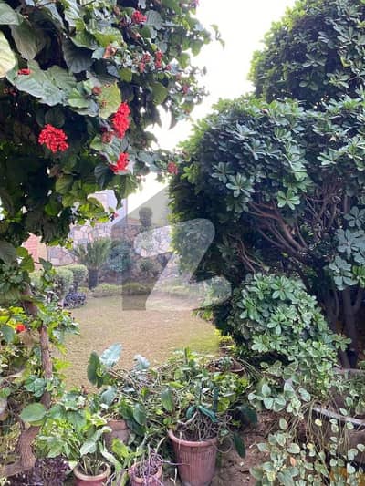 1 Kanal Luxury House for Sale Double Unit | 6 Bedrooms | Elevator | Earthquake-Resistant Structure 1 Kanal Luxury House for Sale Double Unit | 6 Bedrooms | Elevator | Earthquake-Resistant Structure