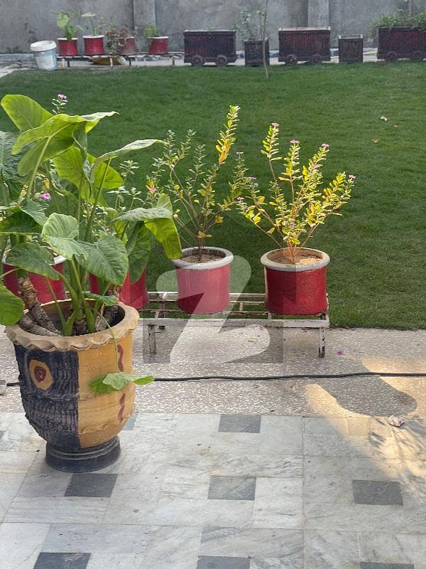 پی ڈبلیو ڈی ہاؤسنگ سکیم اسلام آباد میں 3 کمروں کا 11 مرلہ زیریں پورشن 67.0 ہزار میں کرایہ پر دستیاب ہے۔