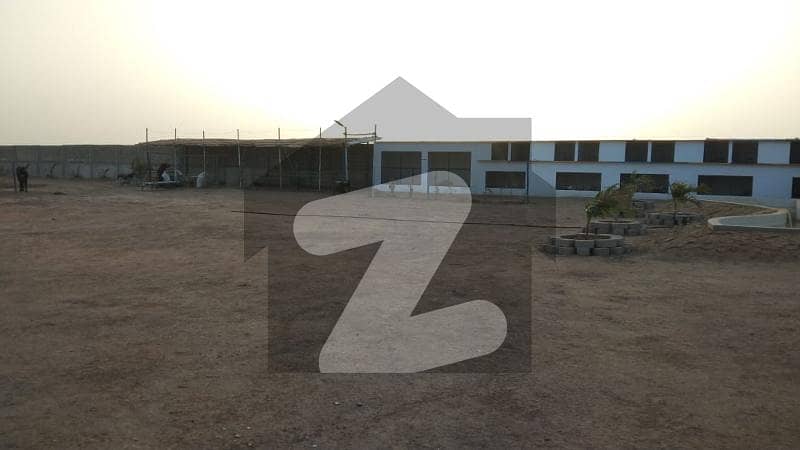 CATTLE FARM DAIRY FARM FARM HOUSE