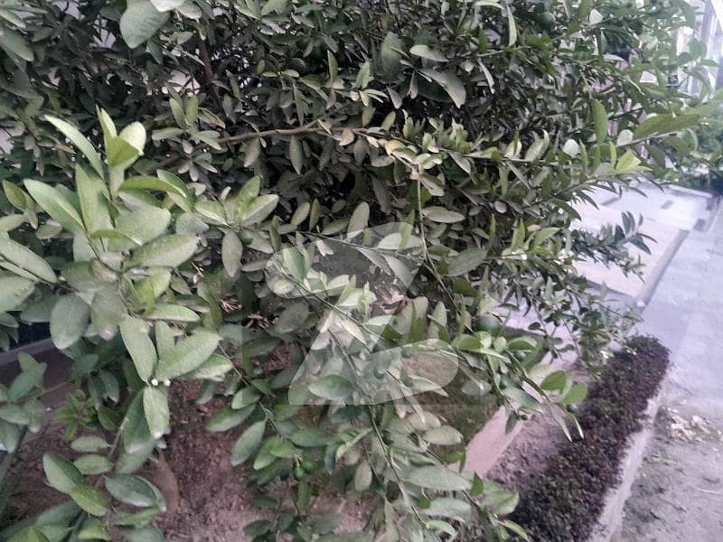 Plot On Good Location