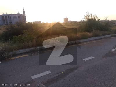 پینینزولیا