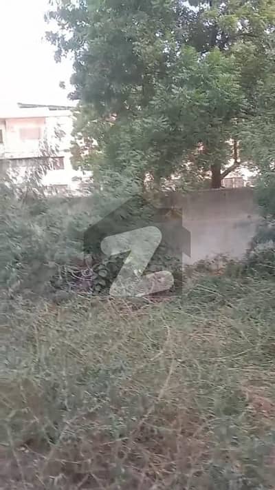 Centrally Located Residential Plot In Amir Khusro Is Available For rent