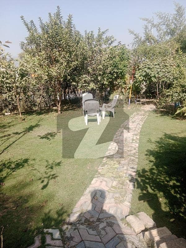 Beautiful Ground Portion avalible for Rent Beautiful Ground Portion avalible for Rent