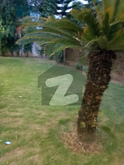 Ground Portion Available For Rent In Westridge