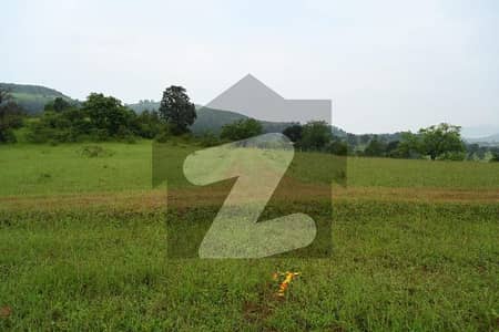 فیروز وٹواں شیخوپورہ میں 88 کنال زرعی زمین 11.0 کروڑ میں برائے فروخت۔