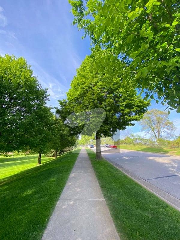 Chanab Block (50x90) Plot For Sale Chanab Block (50x90) Plot For Sale