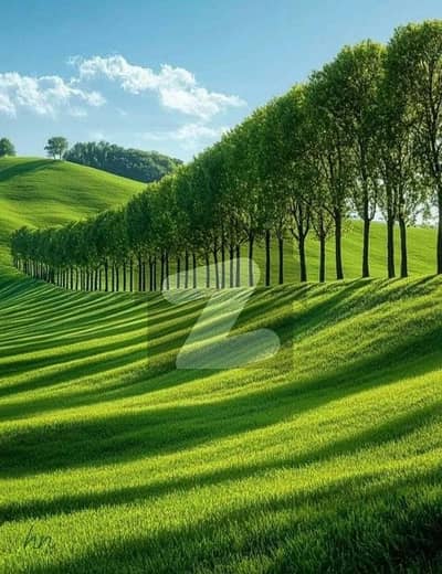 جے اینڈ کے زون 5 اسلام آباد میں 14 مرلہ رہائشی پلاٹ 7.8 لاکھ میں برائے فروخت۔