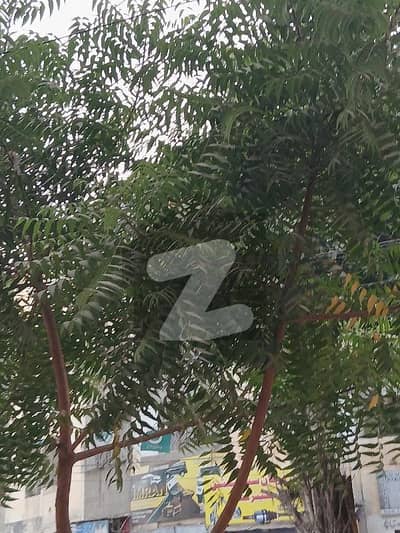 فیڈرل بی ایریا ۔ بلاک 14 فیڈرل بی ایریا,کراچی میں 1 کمرے کا 5 مرلہ مکان 3.5 کروڑ میں برائے فروخت۔ فیڈرل بی ایریا ۔ بلاک 14 فیڈرل بی ایریا,کراچی میں 1 کمرے کا 5 مرلہ مکان 3.5 کروڑ میں برائے فروخت۔