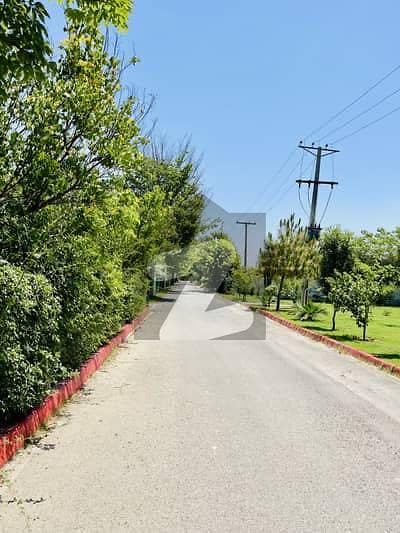 تھیٹر لاہور میں 2 کنال رہائشی پلاٹ 1.5 کروڑ میں برائے فروخت۔ تھیٹر لاہور میں 2 کنال رہائشی پلاٹ 1.5 کروڑ میں برائے فروخت۔