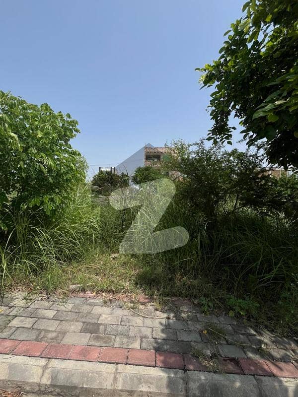Residential Plot for Sale Zamar Valley Islamabad