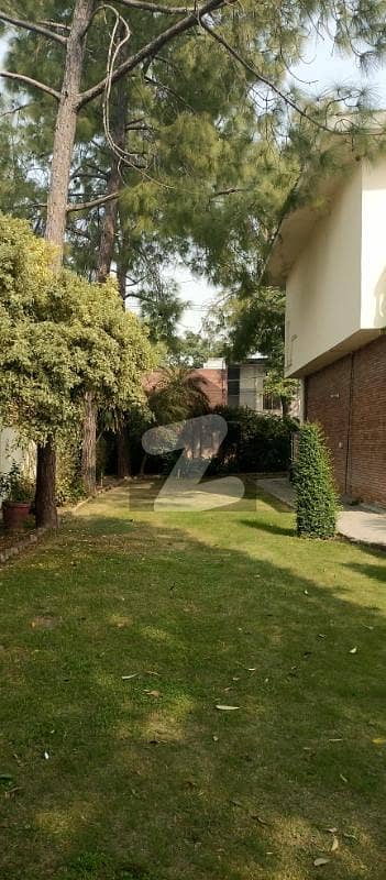 House Is Available For Companies House Is Available For Companies