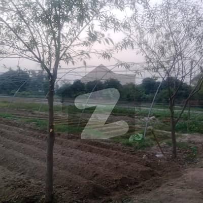 ملتان روڈ لاہور میں 50 کنال فارم ہاؤس 67.5 کروڑ میں برائے فروخت۔