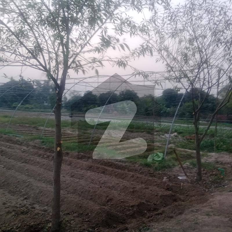 ملتان روڈ لاہور میں 50 کنال فارم ہاؤس 67.5 کروڑ میں برائے فروخت۔ ملتان روڈ لاہور میں 50 کنال فارم ہاؤس 67.5 کروڑ میں برائے فروخت۔