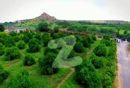 Chance Deal 150 Sq. Yards Commercial Plot For Sale In Gulshan-E-Mehran, Sector 1-A (Main 100 Feet Road) Chance Deal 150 Sq. Yards Commercial Plot For Sale In Gulshan-E-Mehran, Sector 1-A (Main 100 Feet Road)