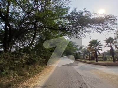 Barki road 16 kanal farm house land urgent for sale lush green area registery intqal fori Qabza moqa clear