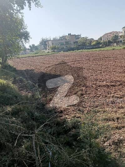 Land For Vegetation And Agriculture For Rent 1 Min From Main Road