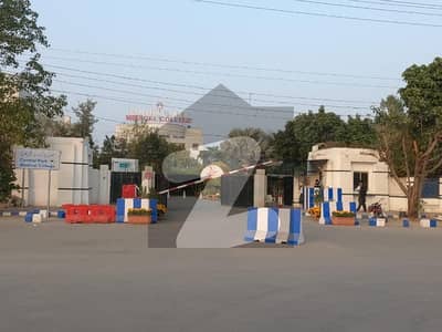 Back Of Main Commercial Plot Of 8 Marla Is Available For Sale Back Of Main Commercial Plot Of 8 Marla Is Available For Sale