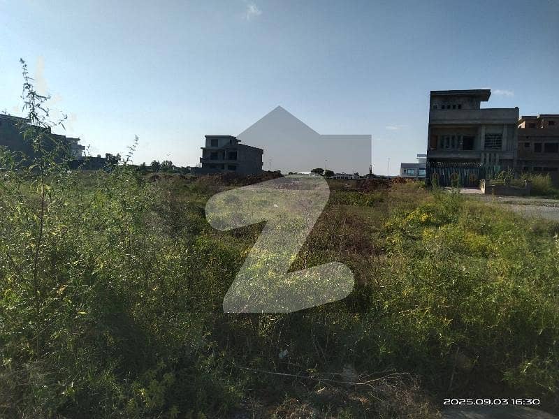 Plot For Sale Plot For Sale