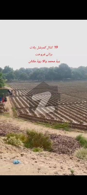 Corner 19 Kanal Commercial Plot Situated In Head Muhammad Wala For sale Corner 19 Kanal Commercial Plot Situated In Head Muhammad Wala For sale