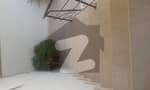 24 