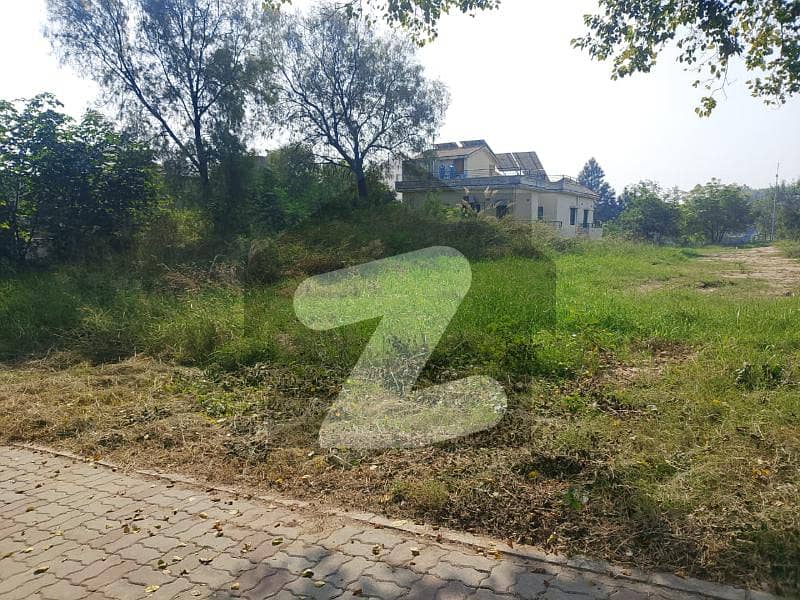 3bed Flat For Rent Available Samama Glberg Green Islamabad 3bed Flat For Rent Available Samama Glberg Green Islamabad