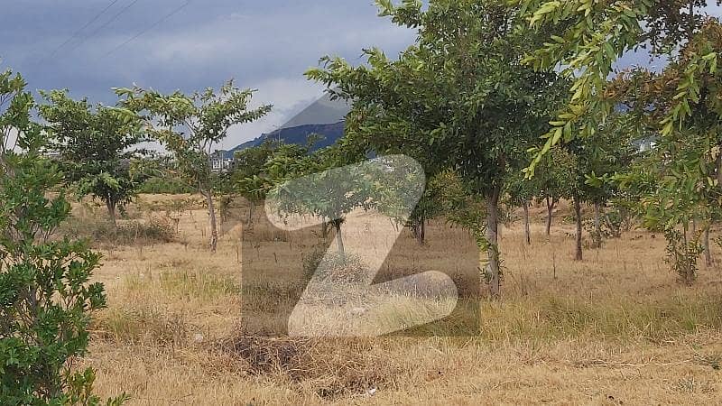 ڈی ۔ 12 اسلام آباد میں 1 کنال رہائشی پلاٹ 10.0 کروڑ میں برائے فروخت۔ ڈی ۔ 12 اسلام آباد میں 1 کنال رہائشی پلاٹ 10.0 کروڑ میں برائے فروخت۔