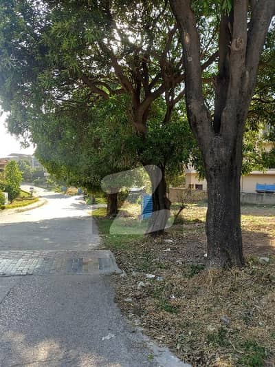 CORNER PLOT FOR SALE