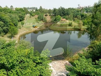 نیول اینکریج - بلاک بی نیول اینکریج,اسلام آباد میں 1 کنال رہائشی پلاٹ 2.55 کروڑ میں برائے فروخت۔