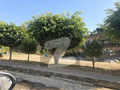 26 Marla Corner Plot For Sale