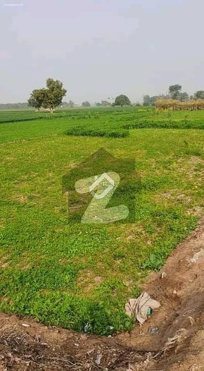 چک 189 رب گڑھی رسولپر فیصل آباد میں 4 کنال زرعی زمین 1.3 کروڑ میں برائے فروخت۔