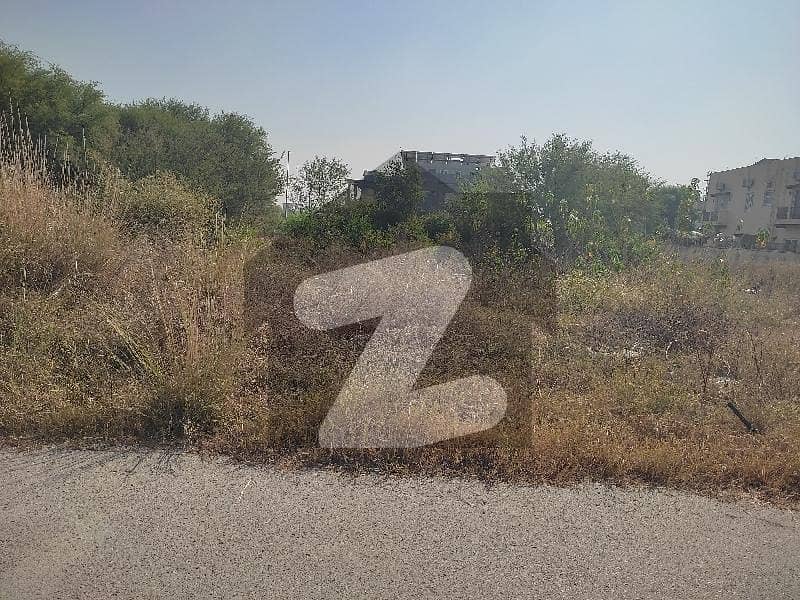 PLOT FOR SALE MAIN DUBLE ROOD