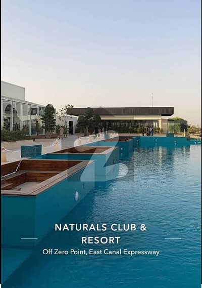 Natural Club & Resort Club Suits For Sale on Installment