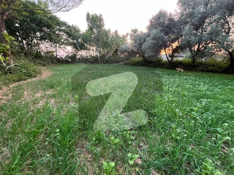 5 Kanal Farm for sale near Bahria Enclave Islamabad