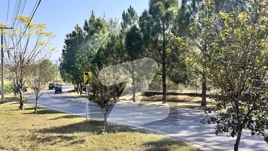 8 Kenalz's Farm House Plot On Prime Location Available For Rent. .