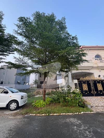 5 Marla Near Park Builder Location DB, Pole Clear For Sale