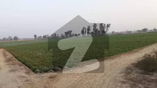 150 Kanal Agricultural Land for Sale Near Domeli Station, Tehsil Dina, Just 6 KM from GT Road via New Carpeted Road