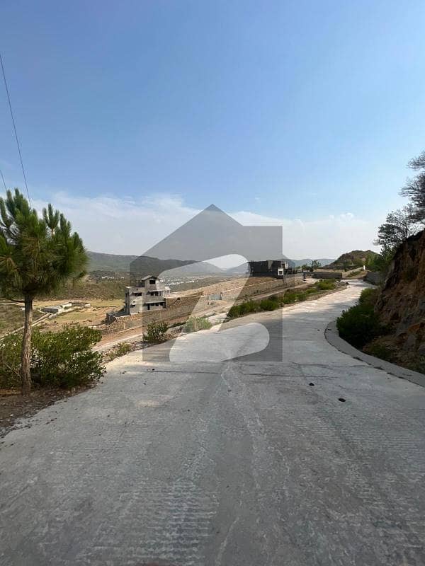 Farmhouse Plot For Sale Heart Of Islamabad Farmhouse Plot For Sale Heart Of Islamabad