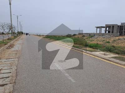 Beach Street 12 And Kh-Bilal 1000 Yards Residential Plot Zone C