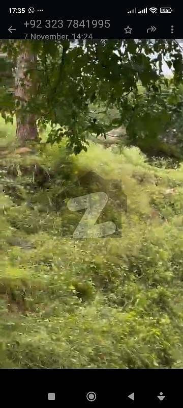 Land Murree (Kha jut)