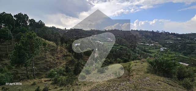 1000 Kanal Compact Land | Single Owner | Possession | Complete Document | Oneday Transfer