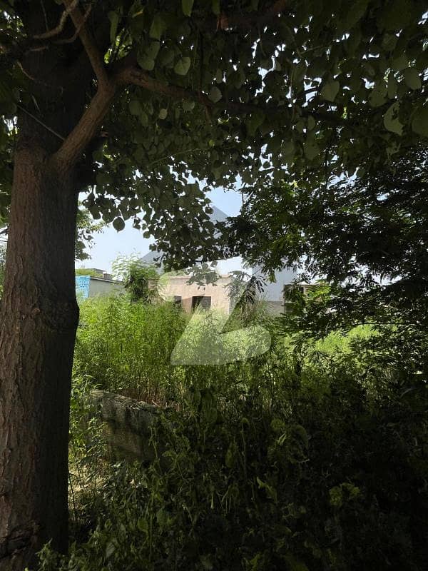 Residential Plot for Sale Zamar Valley Islamabad Residential Plot for Sale Zamar Valley Islamabad