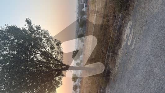 Gulberg Residencia Block T 7 Marla Developed Possession Plot Available For Sale On Investor Price Gulberg Residencia Block T 7 Marla Developed Possession Plot Available For Sale On Investor Price