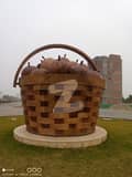 21 