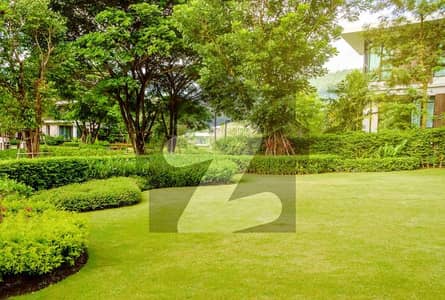 VVIP Location Investor Rate 100x180 Standard CDA Old House