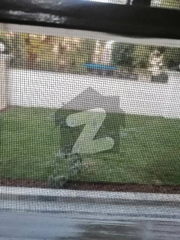 Ideal House in the heart of Islamabad