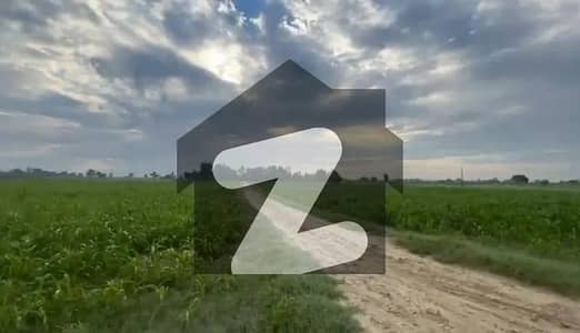 لاہور ۔ قصور روڈ قصور میں 112 کنال زرعی زمین 5.9 کروڑ میں برائے فروخت۔