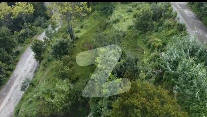 1 Kanal Semi-Commercial Plot Galyat/Murree 1 Kanal Semi-Commercial Plot Galyat/Murree