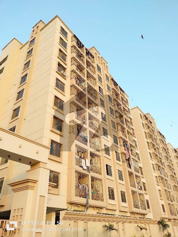 FALAKNAZ HARMONY FALAKNAZ HARMONY